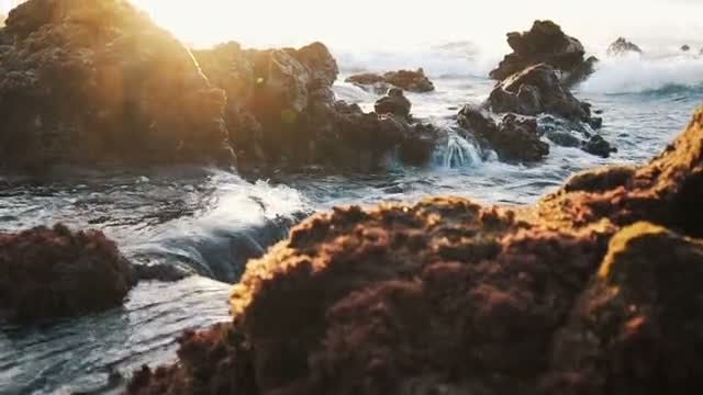 Golden Hour Coast