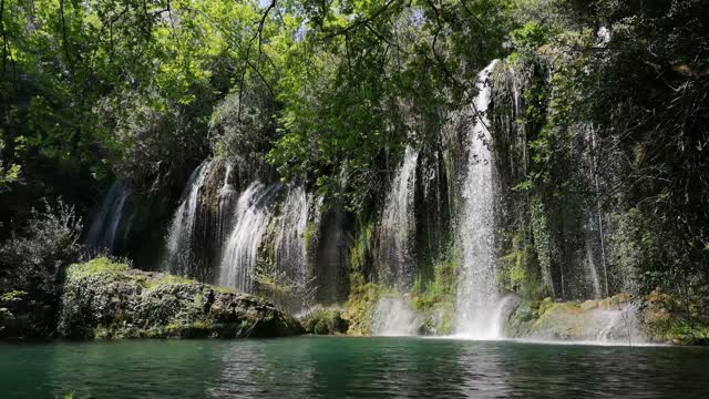 Jungle Waterfall